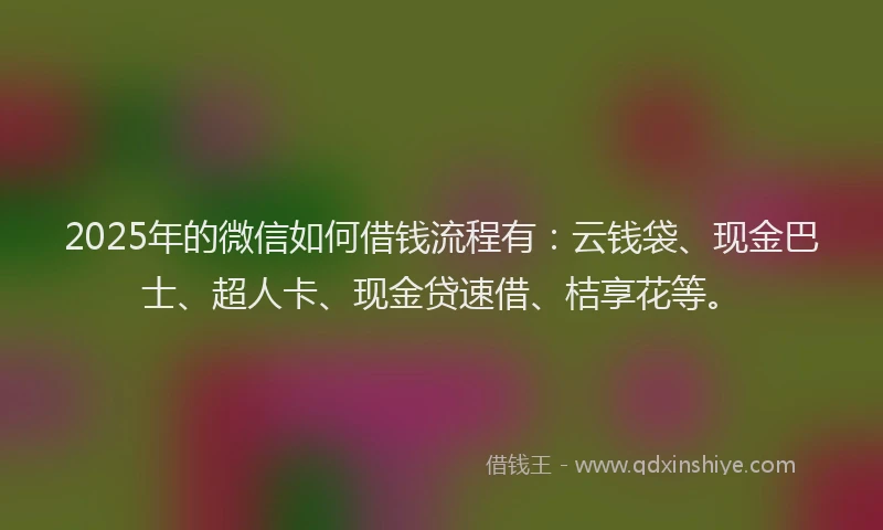 2025年的微信如何借钱流程有：云钱袋、现金巴士、超人卡、现金贷速借、桔享花等。