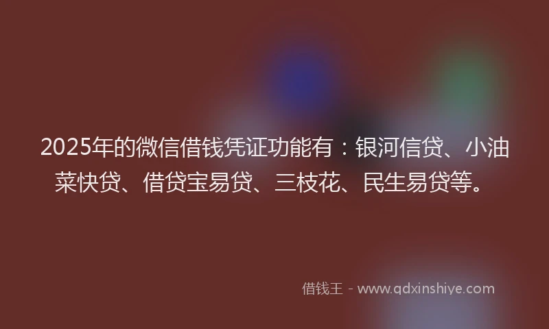 2025年的微信借钱凭证功能有：银河信贷、小油菜快贷、借贷宝易贷、三枝花、民生易贷等。
