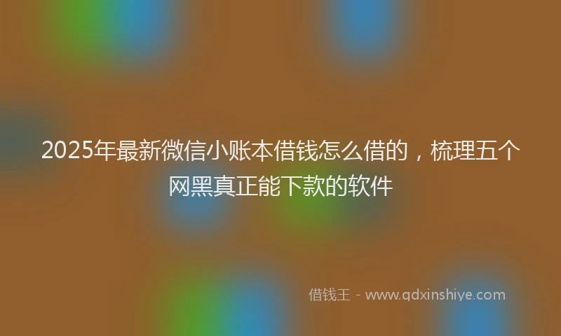 2025年最新微信小账本借钱怎么借的，梳理五个网黑真正能下款的软件