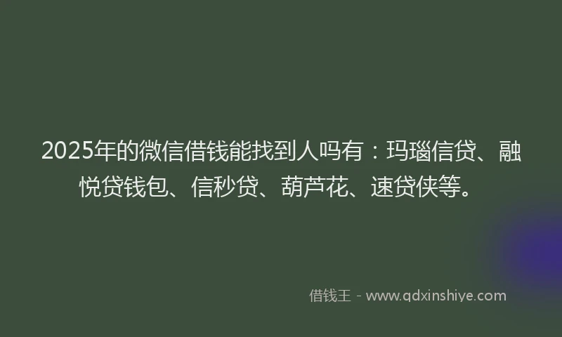 2025年的微信借钱能找到人吗有：玛瑙信贷、融悦贷钱包、信秒贷、葫芦花、速贷侠等。