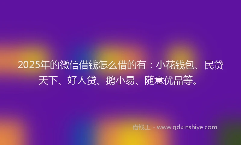 2025年的微信借钱怎么借的有：小花钱包、民贷天下、好人贷、鹅小易、随意优品等。