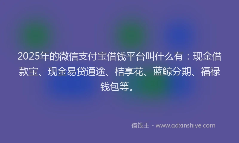 2025年的微信支付宝借钱平台叫什么有：现金借款宝、现金易贷通途、桔享花、蓝鲸分期、福禄钱包等。