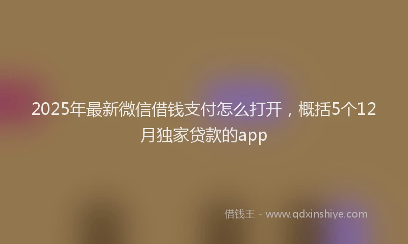 2025年最新微信借钱支付怎么打开，概括5个12月独家贷款的app