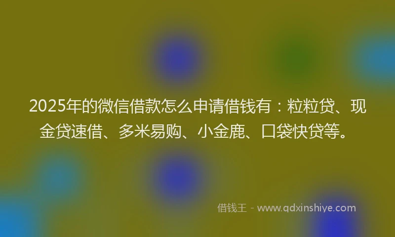 2025年的微信借款怎么申请借钱有：粒粒贷、现金贷速借、多米易购、小金鹿、口袋快贷等。