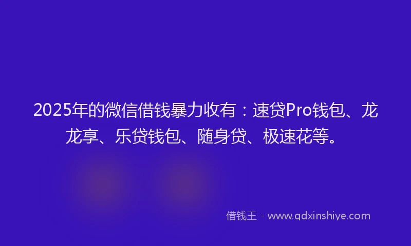 2025年的微信借钱暴力收有：速贷Pro钱包、龙龙享、乐贷钱包、随身贷、极速花等。