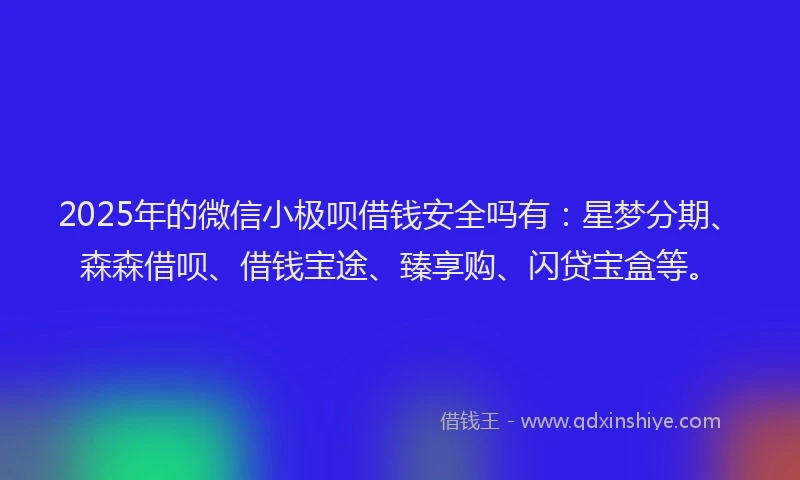 2025年的微信小极呗借钱安全吗有：星梦分期、森森借呗、借钱宝途、臻享购、闪贷宝盒等。