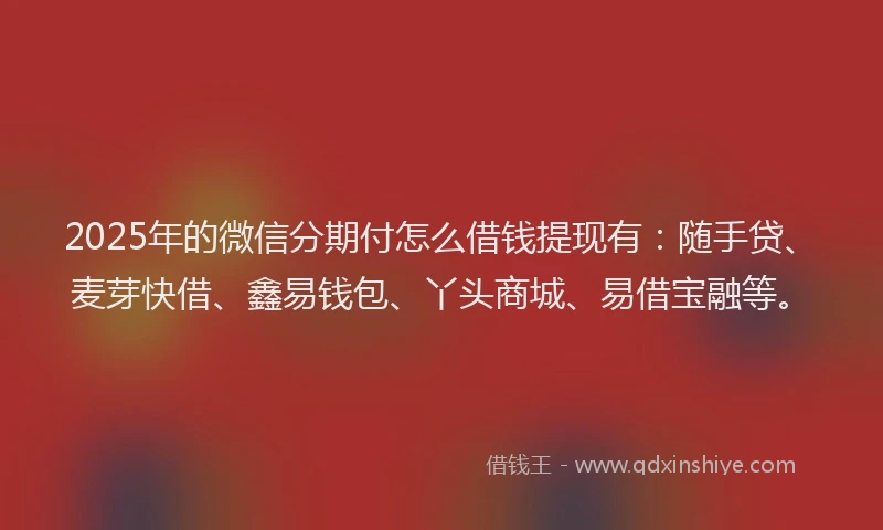 2025年的微信分期付怎么借钱提现有：随手贷、麦芽快借、鑫易钱包、丫头商城、易借宝融等。