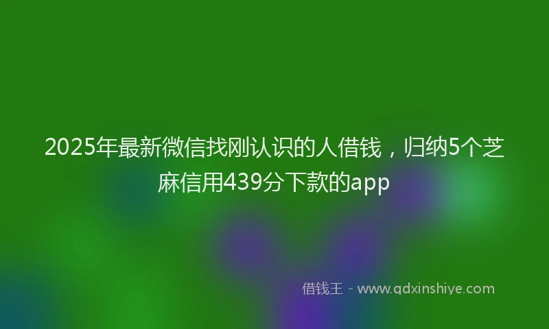 2025年最新微信找刚认识的人借钱，归纳5个芝麻信用439分下款的app
