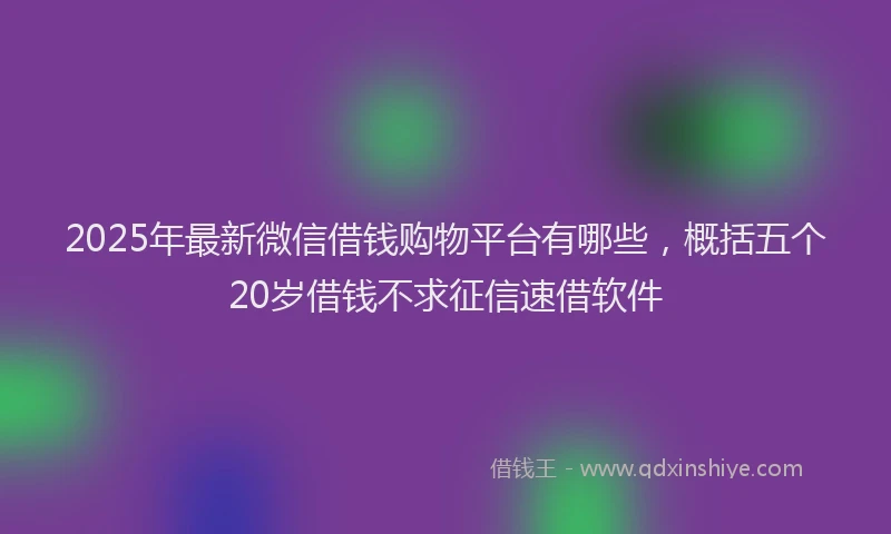2025年最新微信借钱购物平台有哪些，概括五个20岁借钱不求征信速借软件