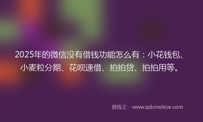 2025年的微信没有借钱功能怎么有：小花钱包、小麦粒分期、花呗速借、拍拍贷、拍拍用等。