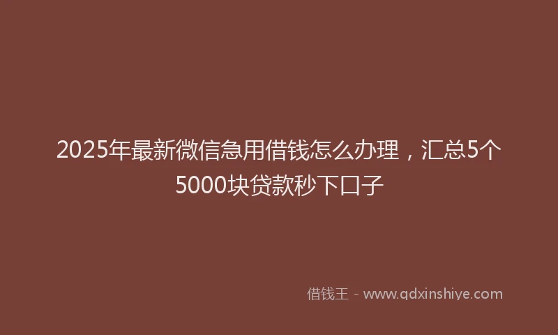 2025年最新微信急用借钱怎么办理，汇总5个5000块贷款秒下口子
