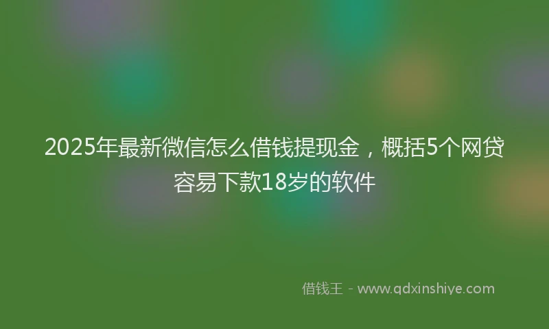 2025年最新微信怎么借钱提现金，概括5个网贷容易下款18岁的软件