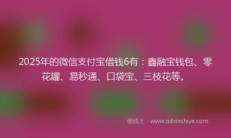 2025年的微信支付宝借钱6有：鑫融宝钱包、零花罐、易秒通、口袋宝、三枝花等。