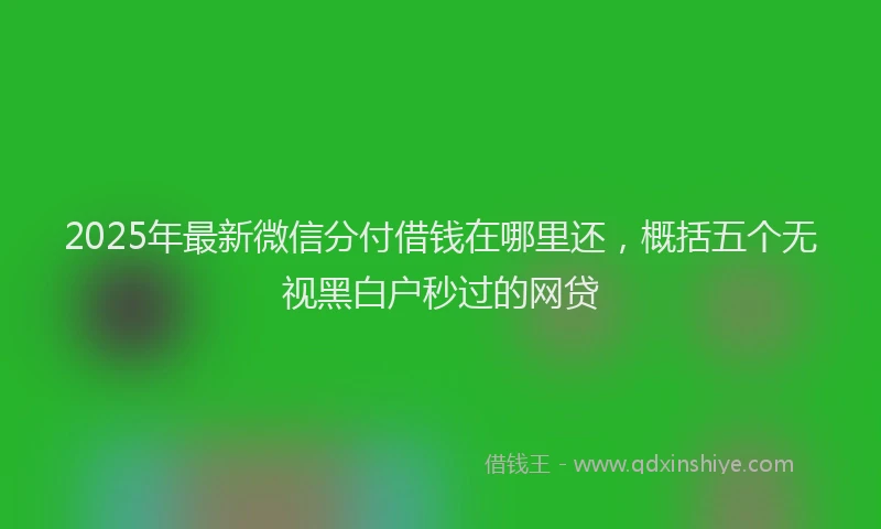 2025年最新微信分付借钱在哪里还，概括五个无视黑白户秒过的网贷