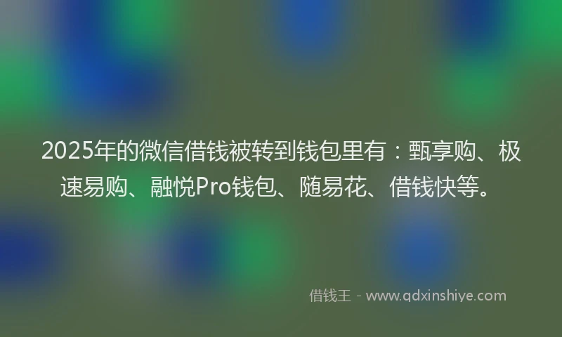 2025年的微信借钱被转到钱包里有：甄享购、极速易购、融悦Pro钱包、随易花、借钱快等。