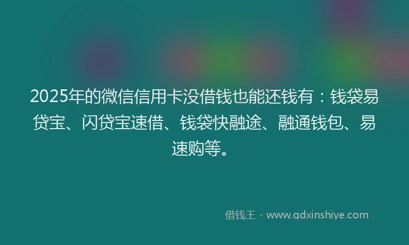 2025年的微信信用卡没借钱也能还钱有：钱袋易贷宝、闪贷宝速借、钱袋快融途、融通钱包、易速购等。