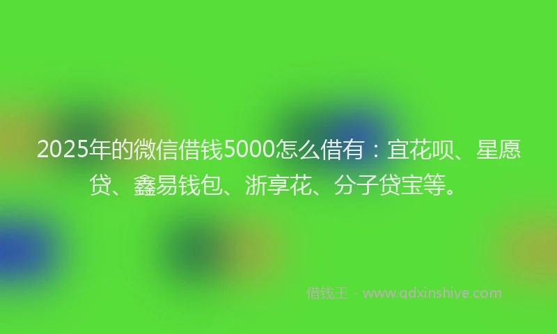 2025年的微信借钱5000怎么借有：宜花呗、星愿贷、鑫易钱包、浙享花、分子贷宝等。