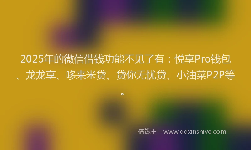2025年的微信借钱功能不见了有：悦享Pro钱包、龙龙享、哆来米贷、贷你无忧贷、小油菜P2P等。