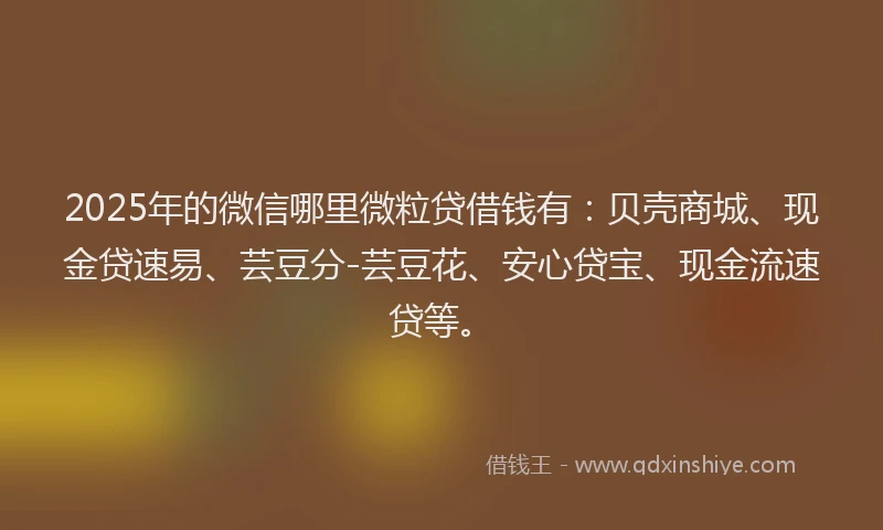 2025年的微信哪里微粒贷借钱有：贝壳商城、现金贷速易、芸豆分-芸豆花、安心贷宝、现金流速贷等。