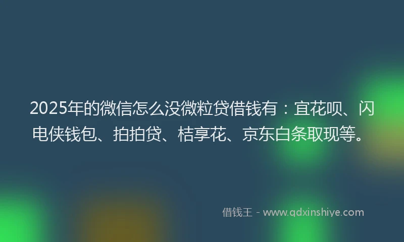 2025年的微信怎么没微粒贷借钱有：宜花呗、闪电侠钱包、拍拍贷、桔享花、京东白条取现等。