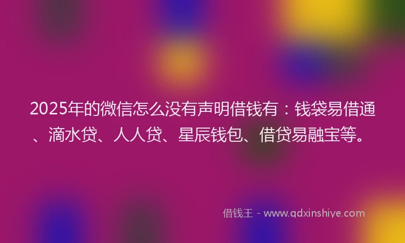 2025年的微信怎么没有声明借钱有：钱袋易借通、滴水贷、人人贷、星辰钱包、借贷易融宝等。