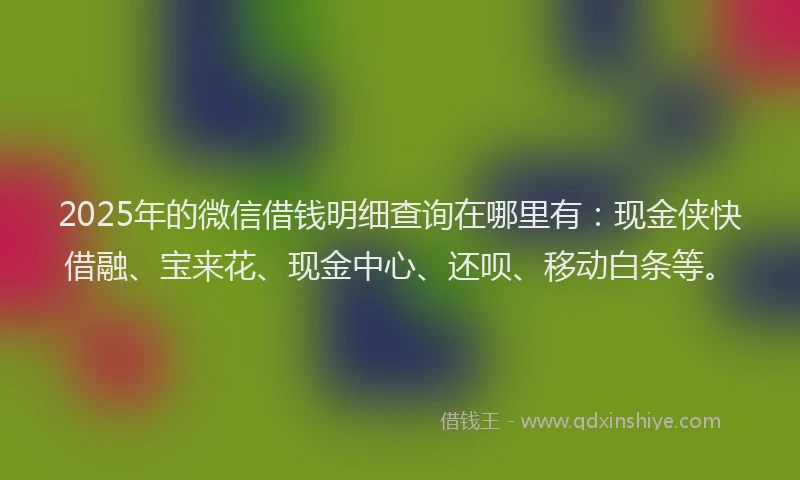 2025年的微信借钱明细查询在哪里有：现金侠快借融、宝来花、现金中心、还呗、移动白条等。