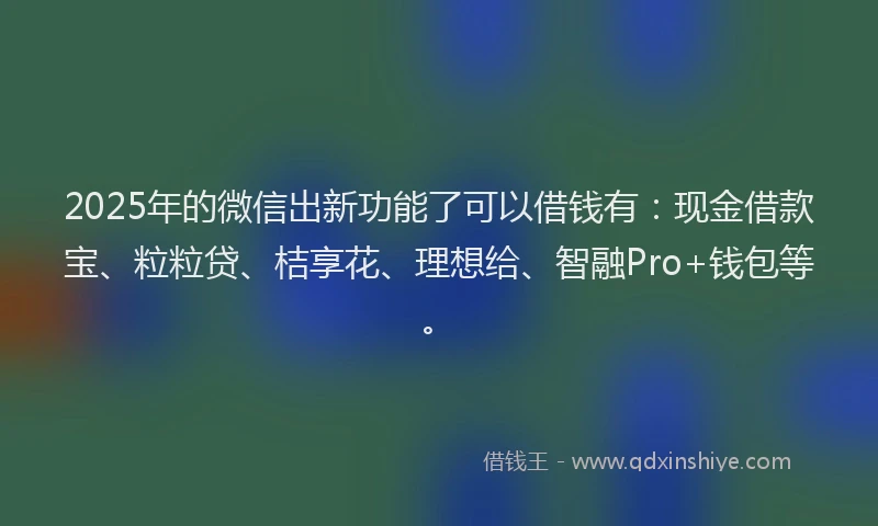 2025年的微信出新功能了可以借钱有：现金借款宝、粒粒贷、桔享花、理想给、智融Pro+钱包等。