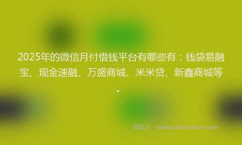 2025年的微信月付借钱平台有哪些有：钱袋易融宝、现金速融、万盛商城、米米贷、新鑫商城等。