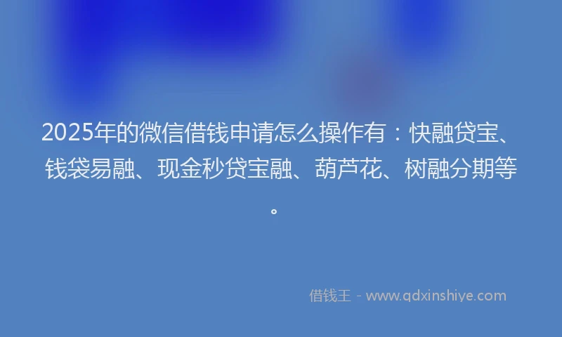 2025年的微信借钱申请怎么操作有：快融贷宝、钱袋易融、现金秒贷宝融、葫芦花、树融分期等。