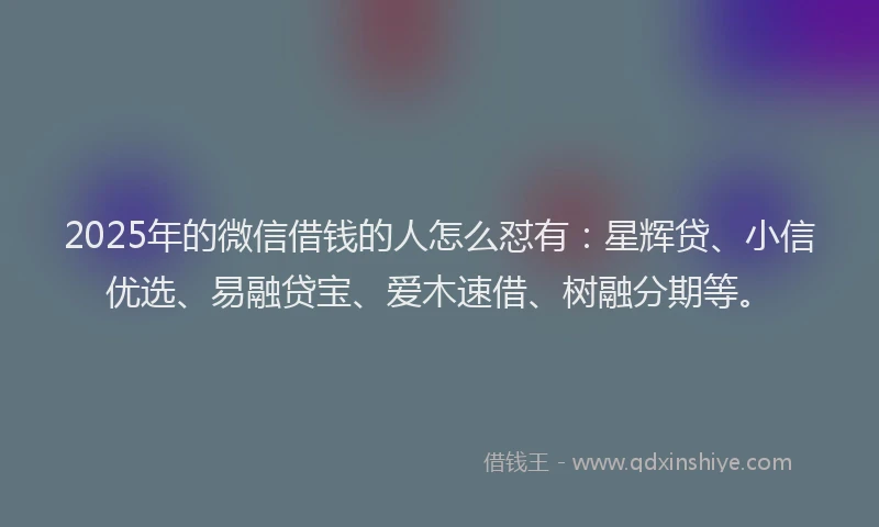 2025年的微信借钱的人怎么怼有：星辉贷、小信优选、易融贷宝、爱木速借、树融分期等。
