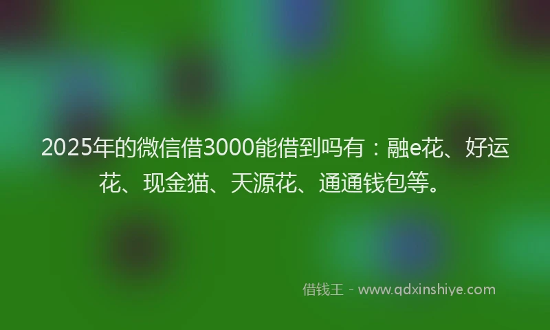 2025年的微信借3000能借到吗有：融e花、好运花、现金猫、天源花、通通钱包等。