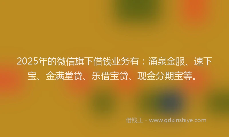 2025年的微信旗下借钱业务有：涌泉金服、速下宝、金满堂贷、乐借宝贷、现金分期宝等。