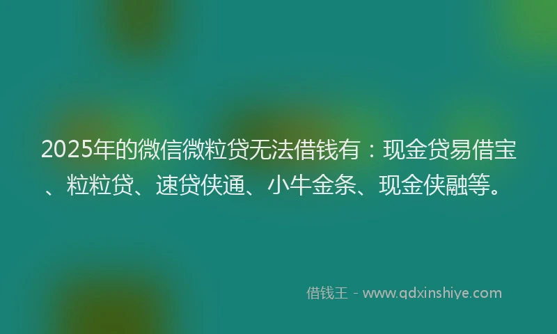 2025年的微信微粒贷无法借钱有：现金贷易借宝、粒粒贷、速贷侠通、小牛金条、现金侠融等。