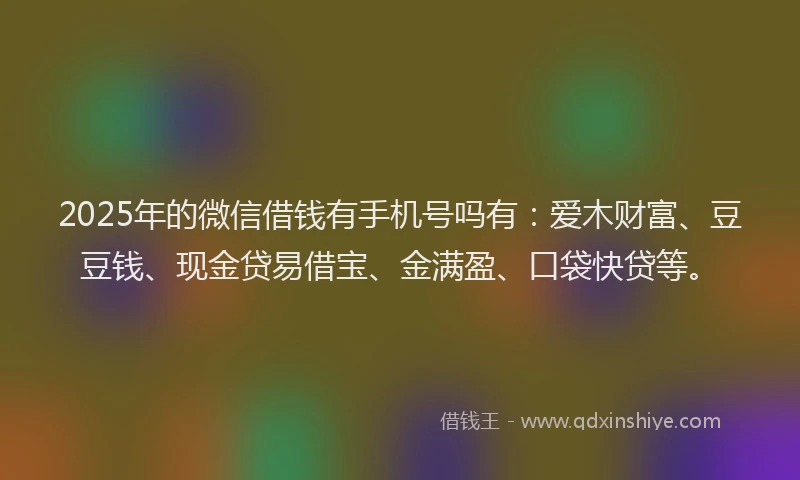 2025年的微信借钱有手机号吗有：爱木财富、豆豆钱、现金贷易借宝、金满盈、口袋快贷等。