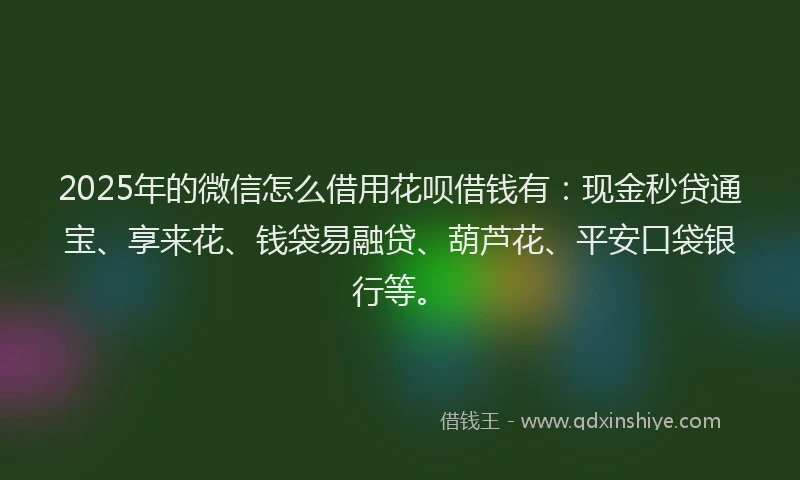 2025年的微信怎么借用花呗借钱有：现金秒贷通宝、享来花、钱袋易融贷、葫芦花、平安口袋银行等。