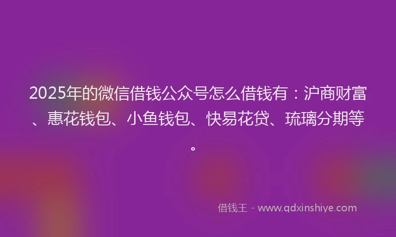 2025年的微信借钱公众号怎么借钱有：沪商财富、惠花钱包、小鱼钱包、快易花贷、琉璃分期等。