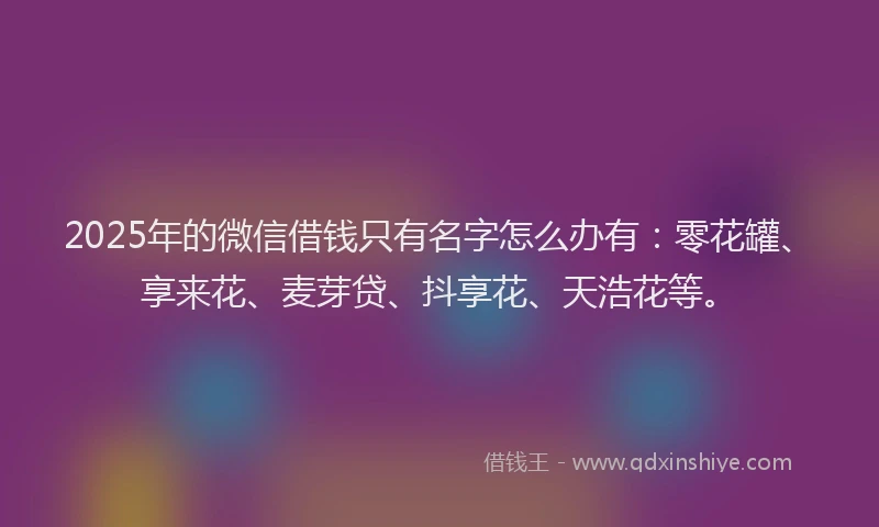 2025年的微信借钱只有名字怎么办有：零花罐、享来花、麦芽贷、抖享花、天浩花等。
