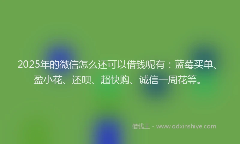 2025年的微信怎么还可以借钱呢有：蓝莓买单、盈小花、还呗、超快购、诚信一周花等。