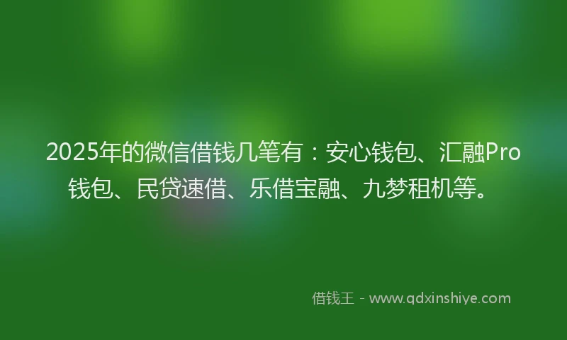 2025年的微信借钱几笔有：安心钱包、汇融Pro钱包、民贷速借、乐借宝融、九梦租机等。
