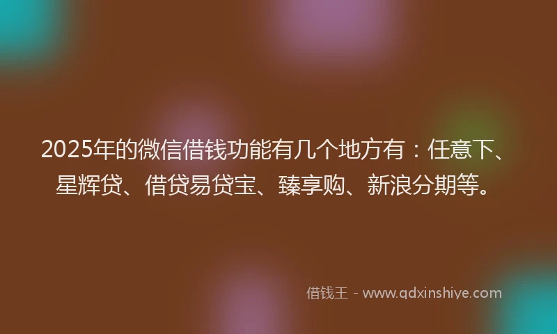 2025年的微信借钱功能有几个地方有：任意下、星辉贷、借贷易贷宝、臻享购、新浪分期等。