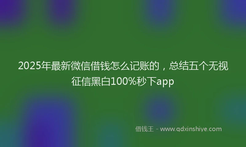 2025年最新微信借钱怎么记账的，总结五个无视征信黑白100%秒下app