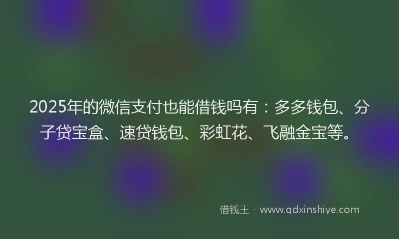 2025年的微信支付也能借钱吗有：多多钱包、分子贷宝盒、速贷钱包、彩虹花、飞融金宝等。