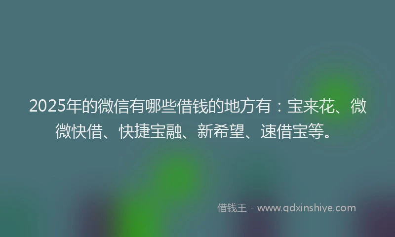 2025年的微信有哪些借钱的地方有：宝来花、微微快借、快捷宝融、新希望、速借宝等。