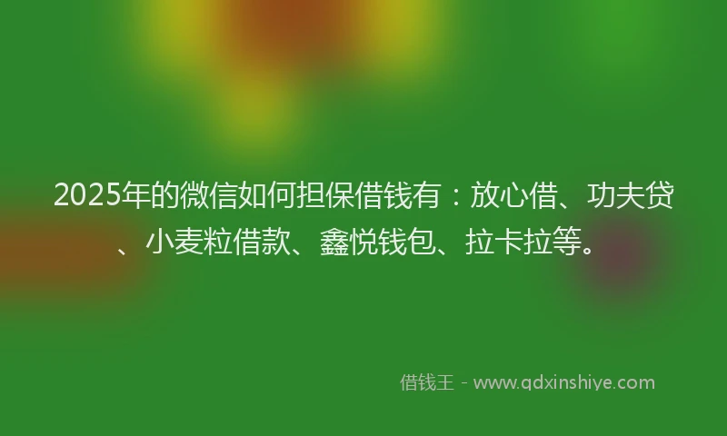 2025年的微信如何担保借钱有：放心借、功夫贷、小麦粒借款、鑫悦钱包、拉卡拉等。