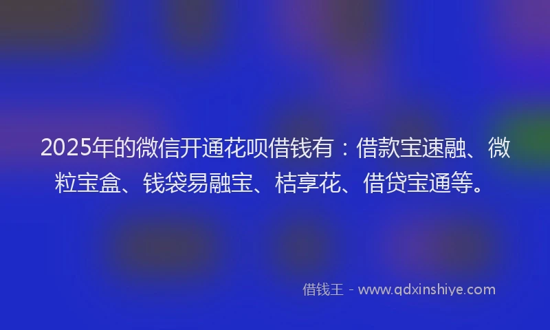 2025年的微信开通花呗借钱有：借款宝速融、微粒宝盒、钱袋易融宝、桔享花、借贷宝通等。