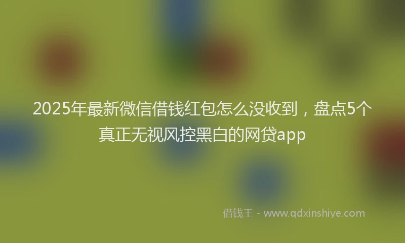 2025年最新微信借钱红包怎么没收到，盘点5个真正无视风控黑白的网贷app