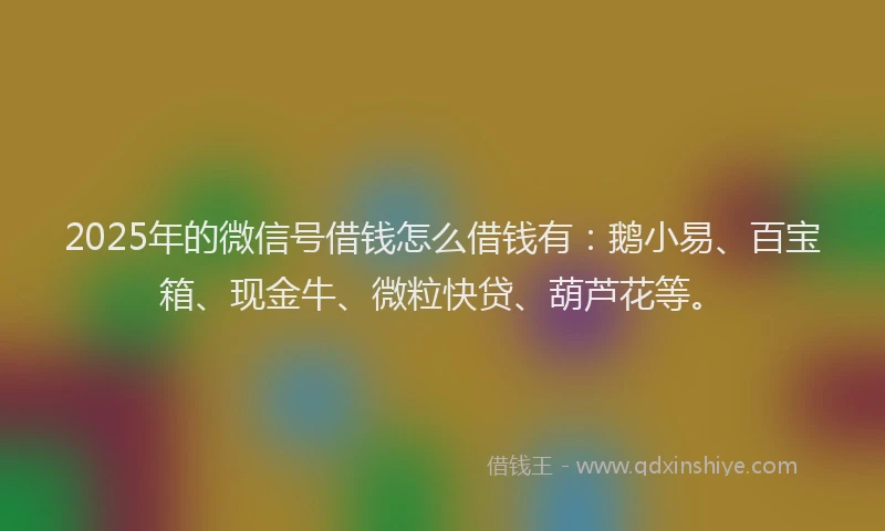 2025年的微信号借钱怎么借钱有：鹅小易、百宝箱、现金牛、微粒快贷、葫芦花等。