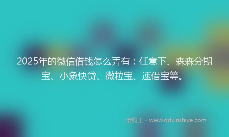 2025年的微信借钱怎么弄有：任意下、森森分期宝、小象快贷、微粒宝、速借宝等。