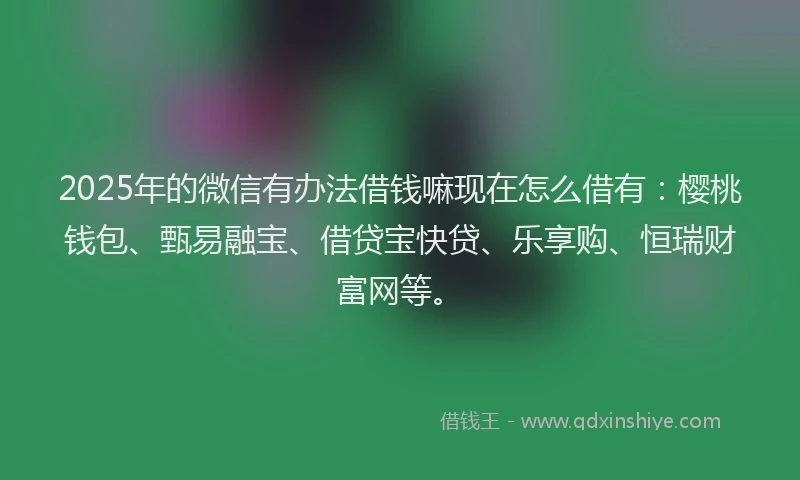 2025年的微信有办法借钱嘛现在怎么借有：樱桃钱包、甄易融宝、借贷宝快贷、乐享购、恒瑞财富网等。