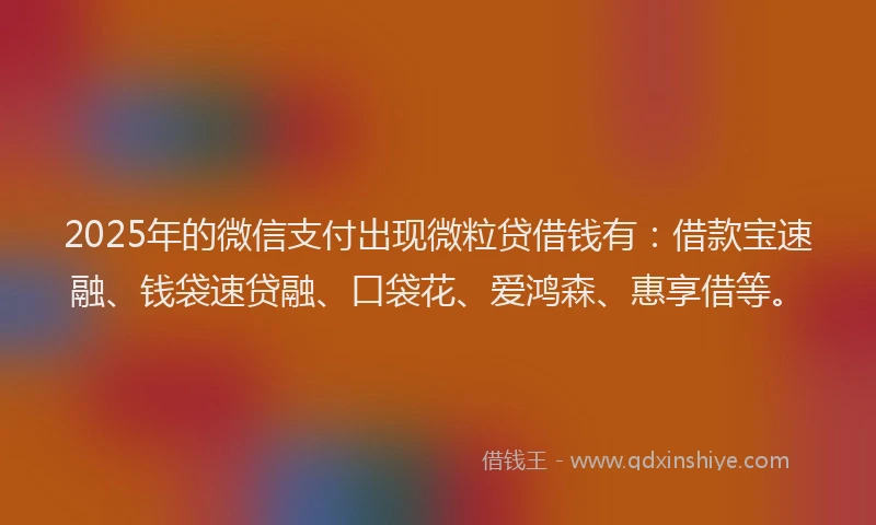 2025年的微信支付出现微粒贷借钱有：借款宝速融、钱袋速贷融、口袋花、爱鸿森、惠享借等。